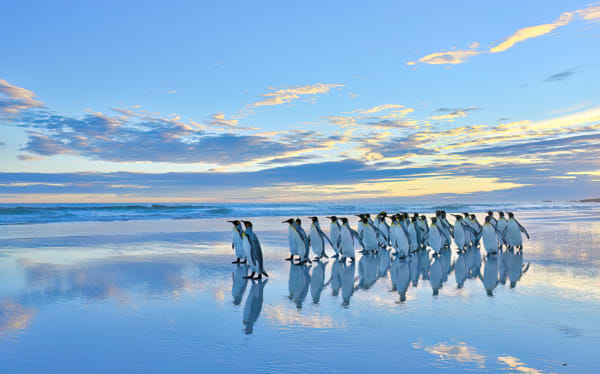 Beach walk by Elmar Weiss on 500px.com