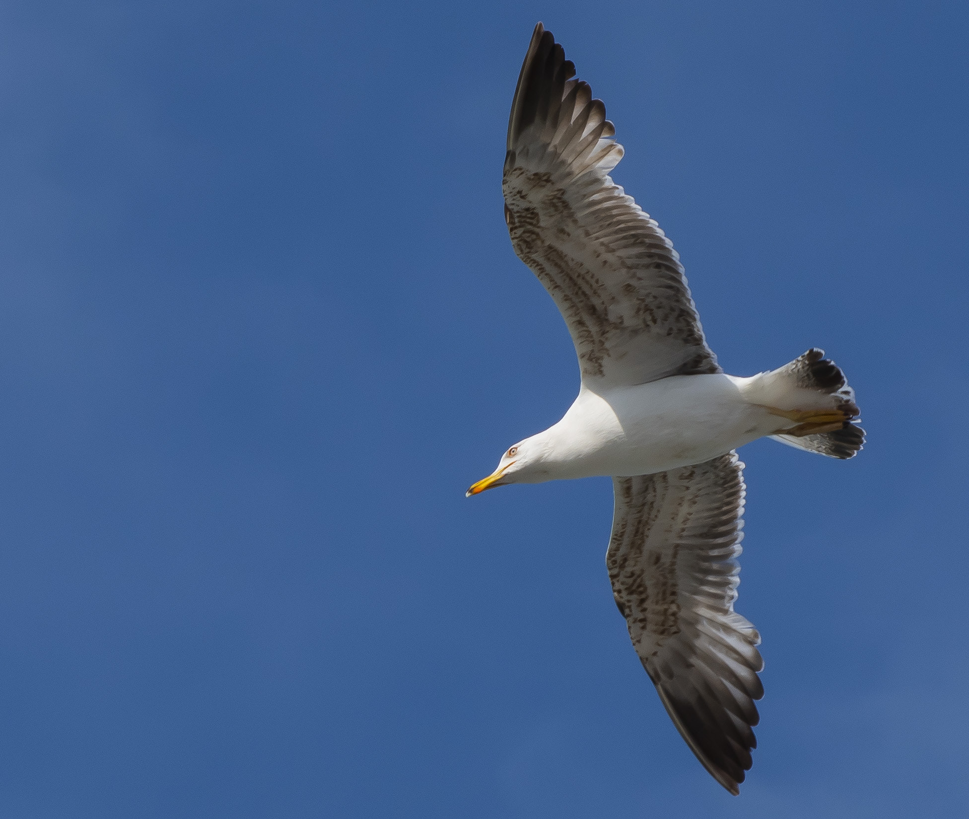 v2?sig=3fe68cbc63948e02b8f89c348fbf6dd94d1ef03250fa9e39bed24ecd68ff87a5