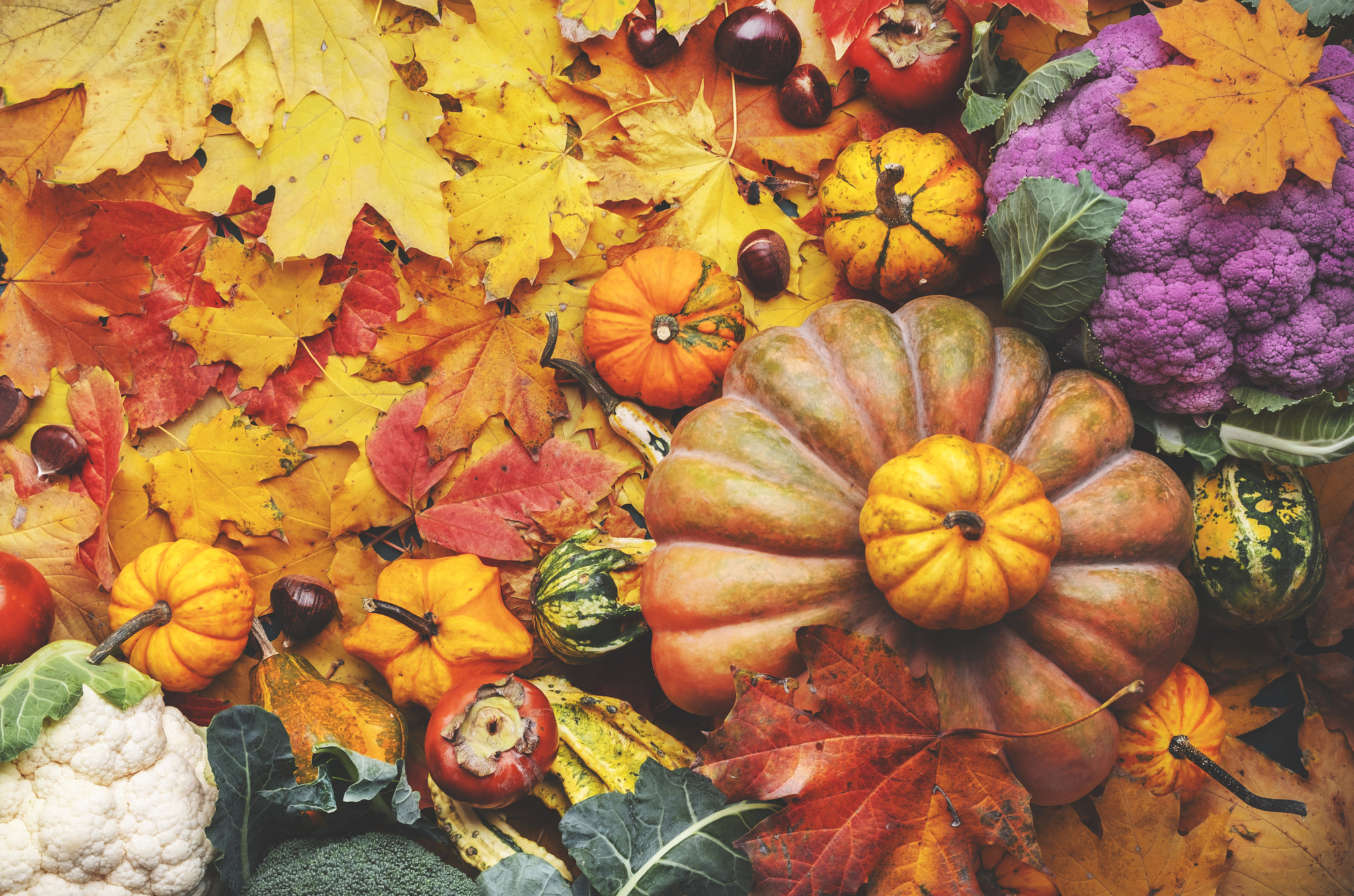 Autumn harvest and shopping: pumpkins, persimmons, cauliflower, chestnuts on background of fallen ma