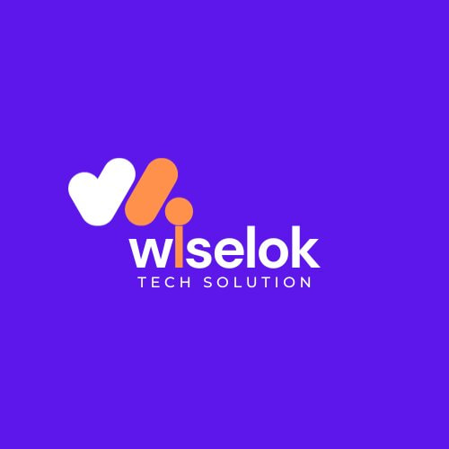 Wiselok Techsolution: Empowering BusiInnovative Digital Marketing Strategies in Jaipur