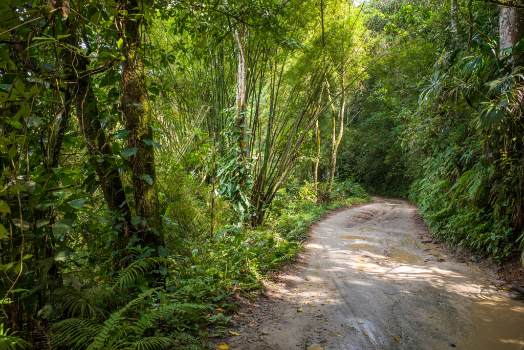 Untitled by www.fretensonja.nl on 500px.com