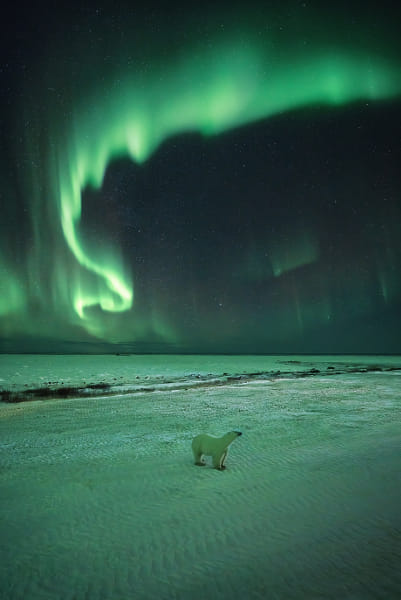 Subarctic Sendoff by Paul Zizka on 500px.com