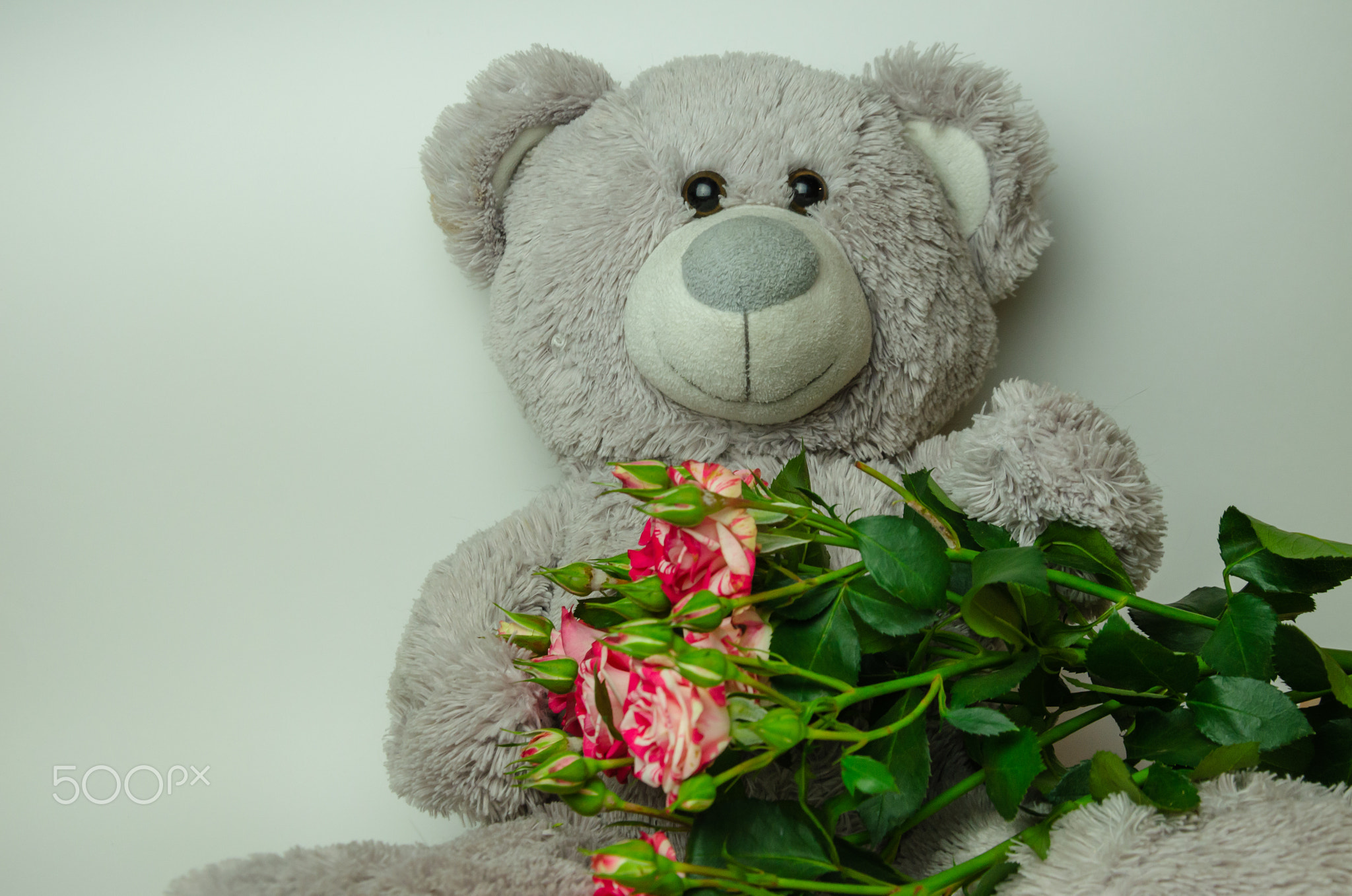 Gray bear toy with bouquet of roses