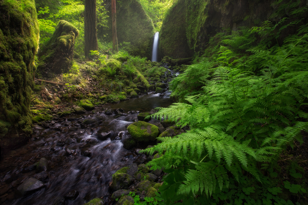 Heart of the Gorge by Majeed Badizadegan / 500px