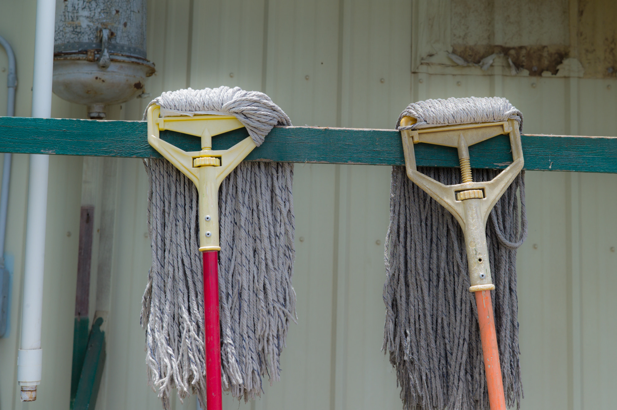 Long-haired aliens