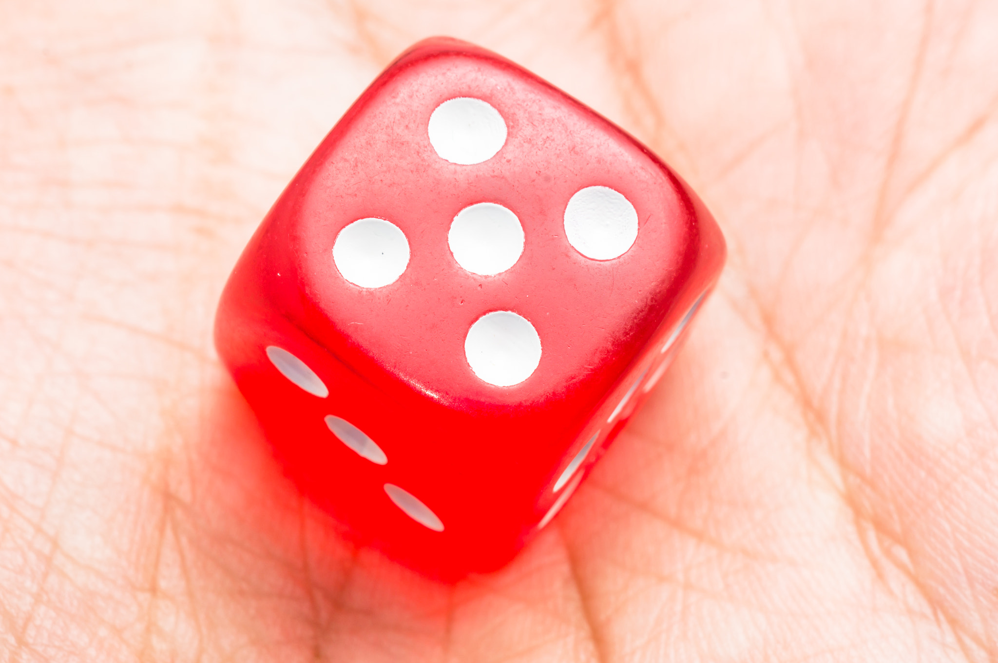 red dice