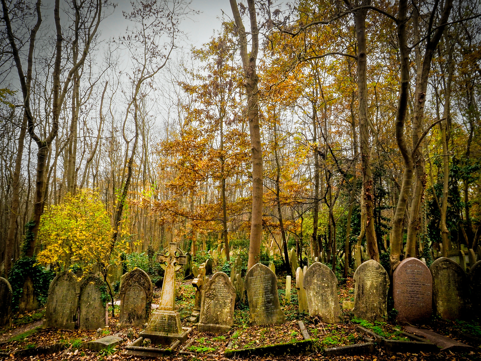 Crowded - Highgate Cemetery, Winter