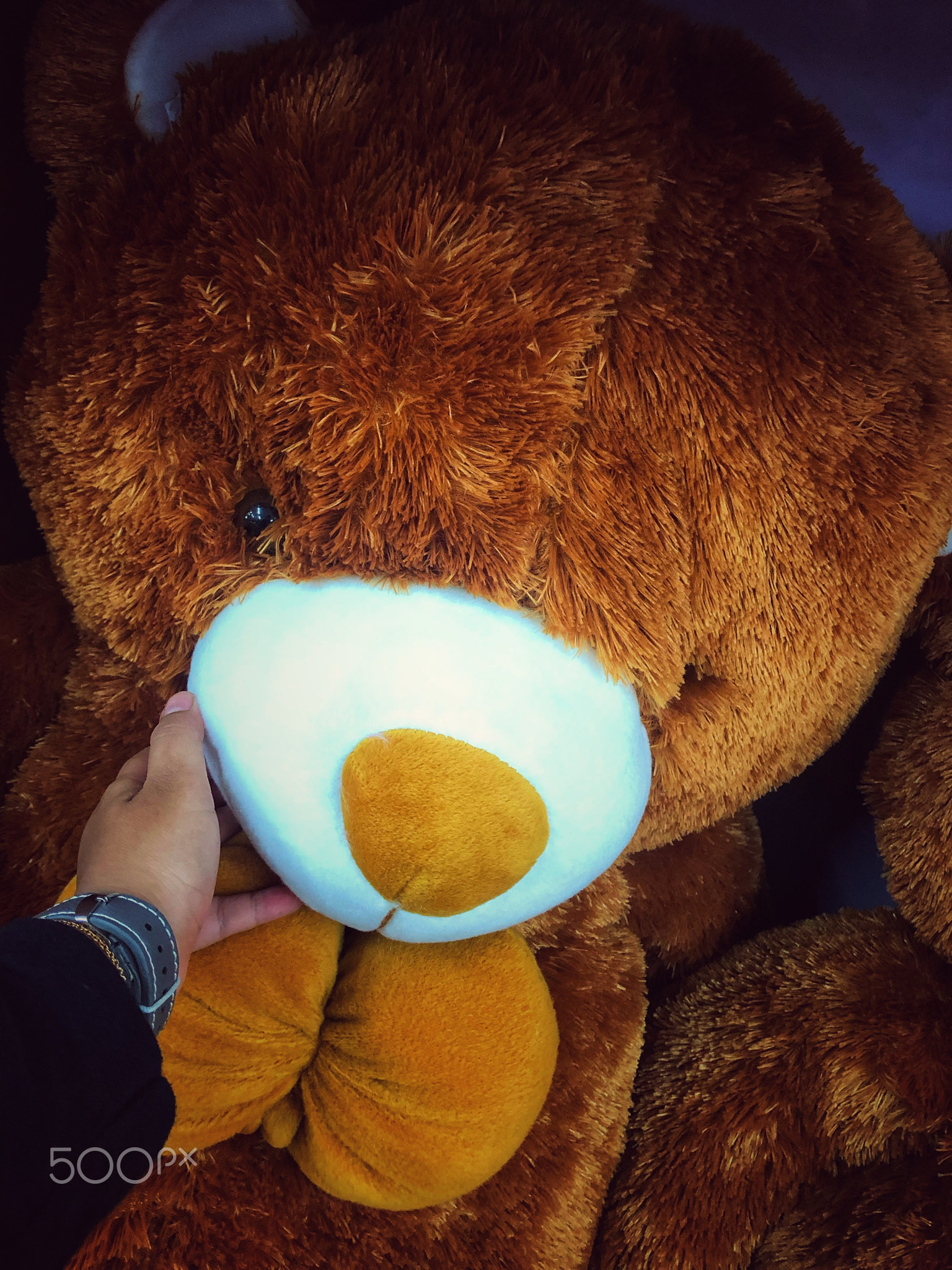 Big brown teddy bear in supermarket