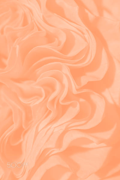 רקע פרחוני של עלי כותרת של ורדים Peach Fuzz תקריב.  מאת Mariya Borisova ב-500px.com