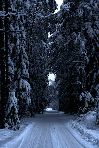 The snowy arch over a white road by CASTER AZUCAR on 500px.com