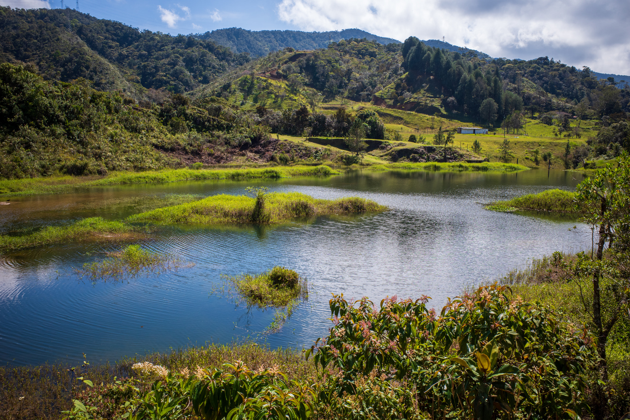 Untitled by www.fretensonja.nl on 500px.com