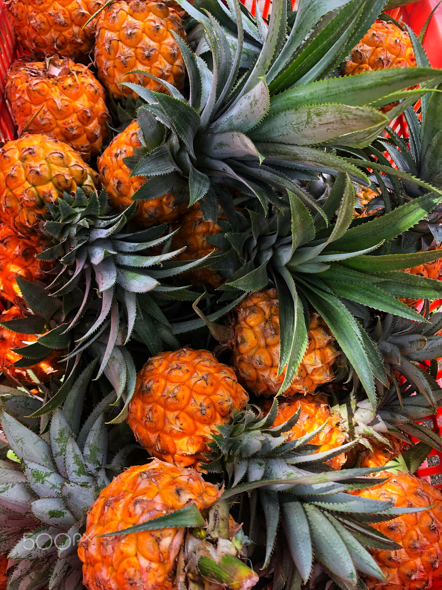 Orange honey pineapple fruit in a basket