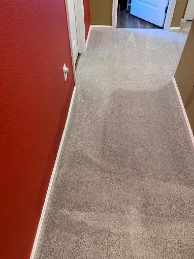 Ever Steam Carpet Cleaning LLC