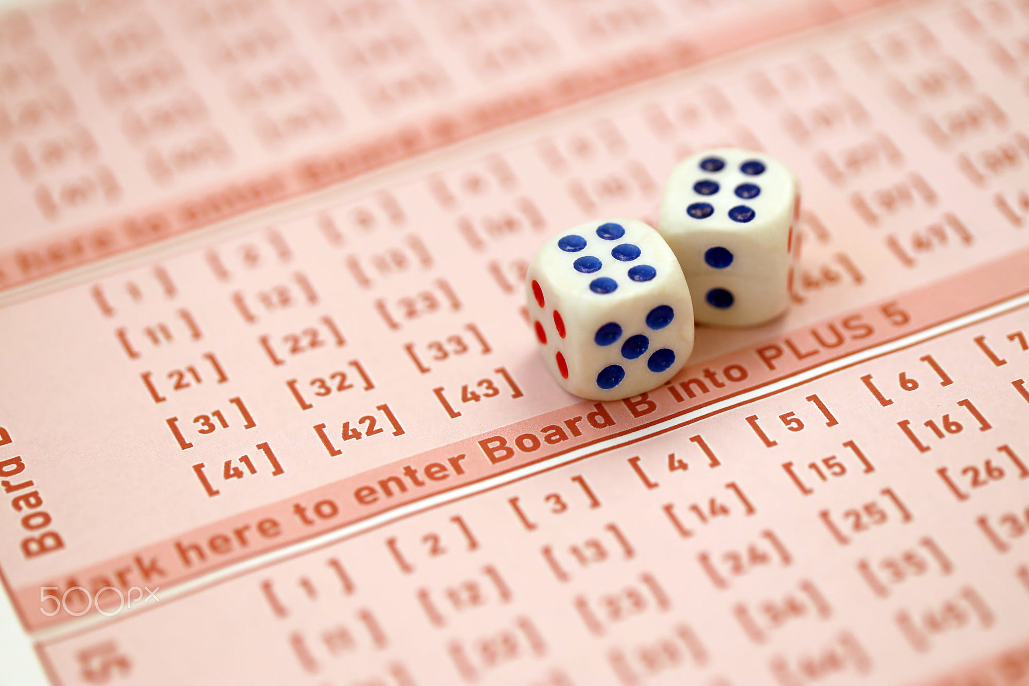 Dice cubes lies on pink gambling sheets with numbers for marking to play lottery. Lottery playing: Dice cubes lies on pink gambling sheets with numbers for marking to play lottery. Lottery playing concept or gambling addiction. Close up photo