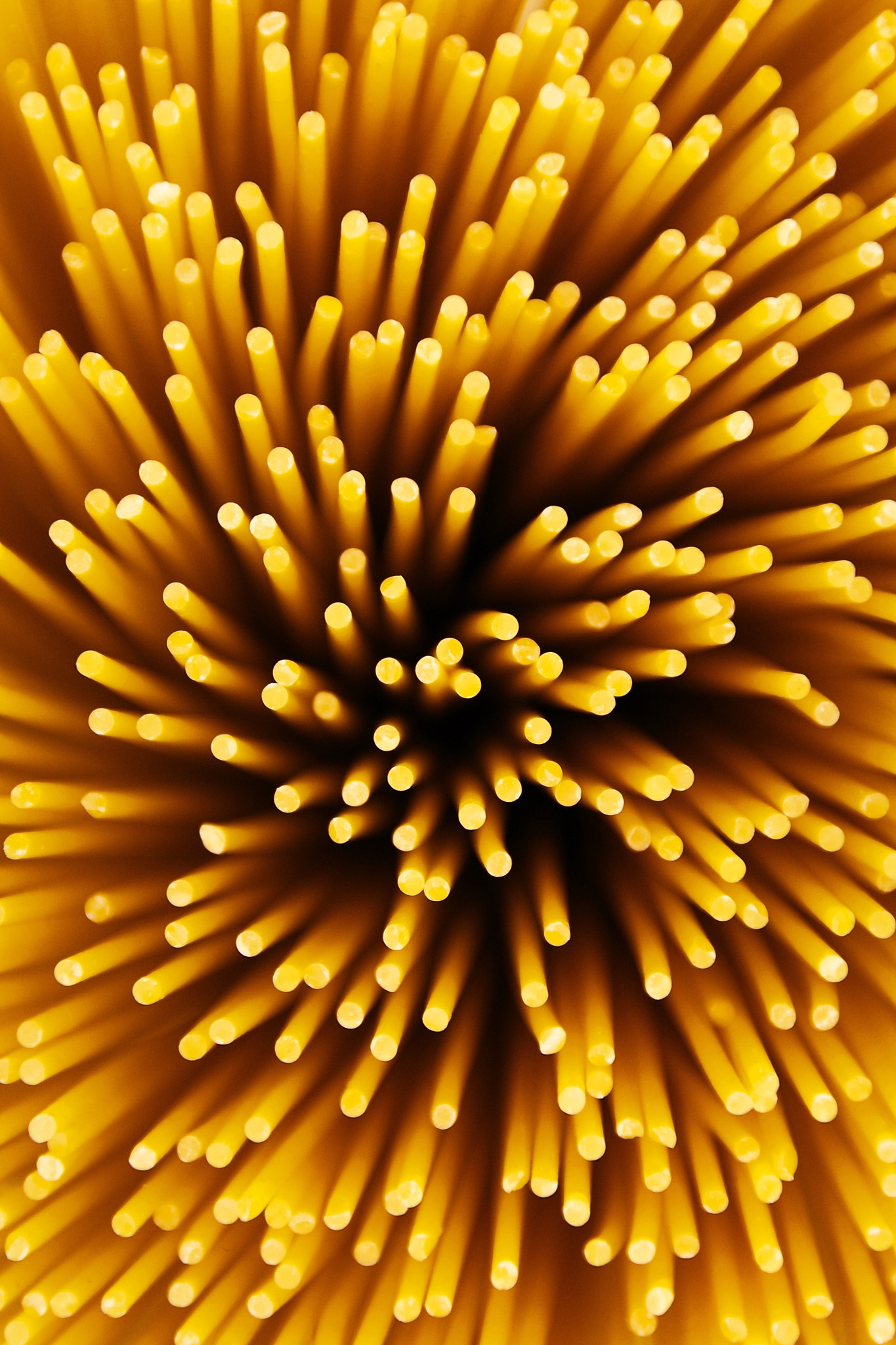 Spaghetti