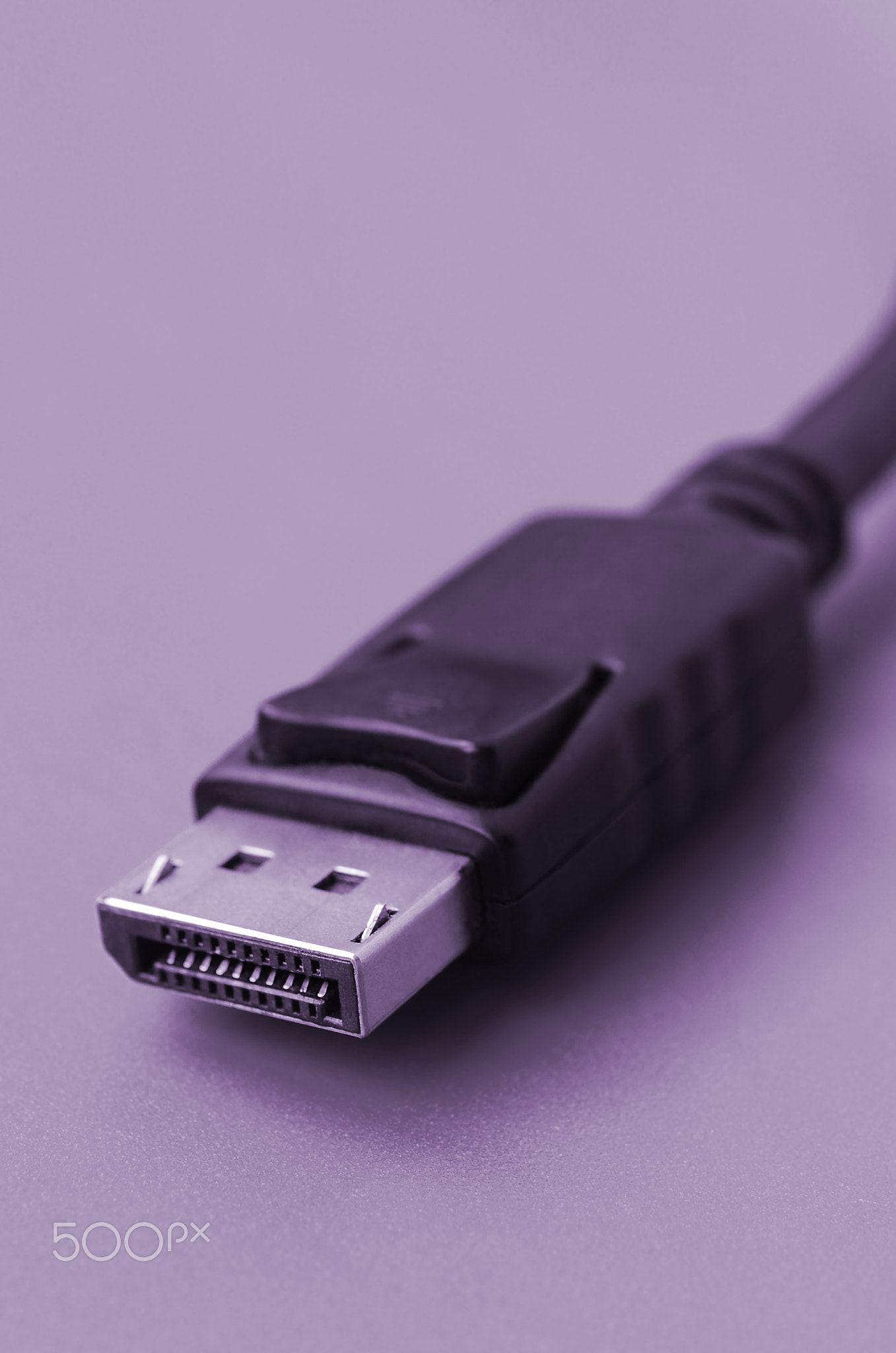 20-pin male DisplayPort gold plated connector for a flawless connection on a purple backdrop