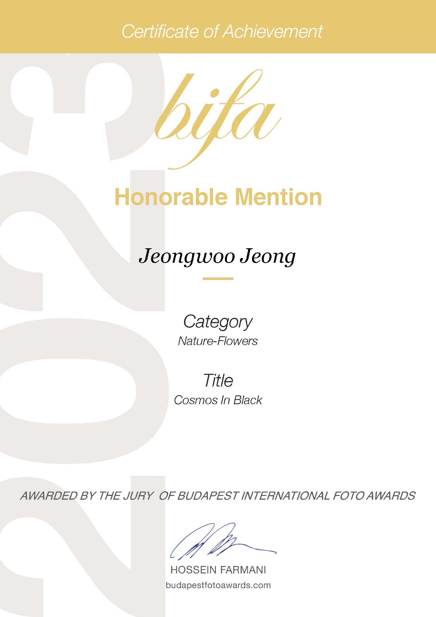 BIFA 2023 / Honorable Mention 02