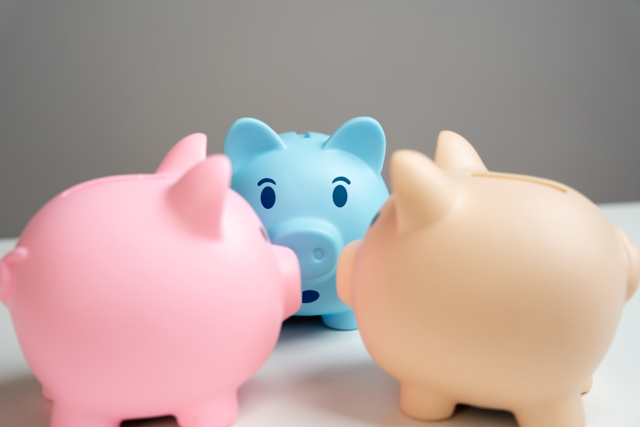 Piggy bank pigs gossip. News and events in the economy. Cashbacks and earnings. Deposits and savings