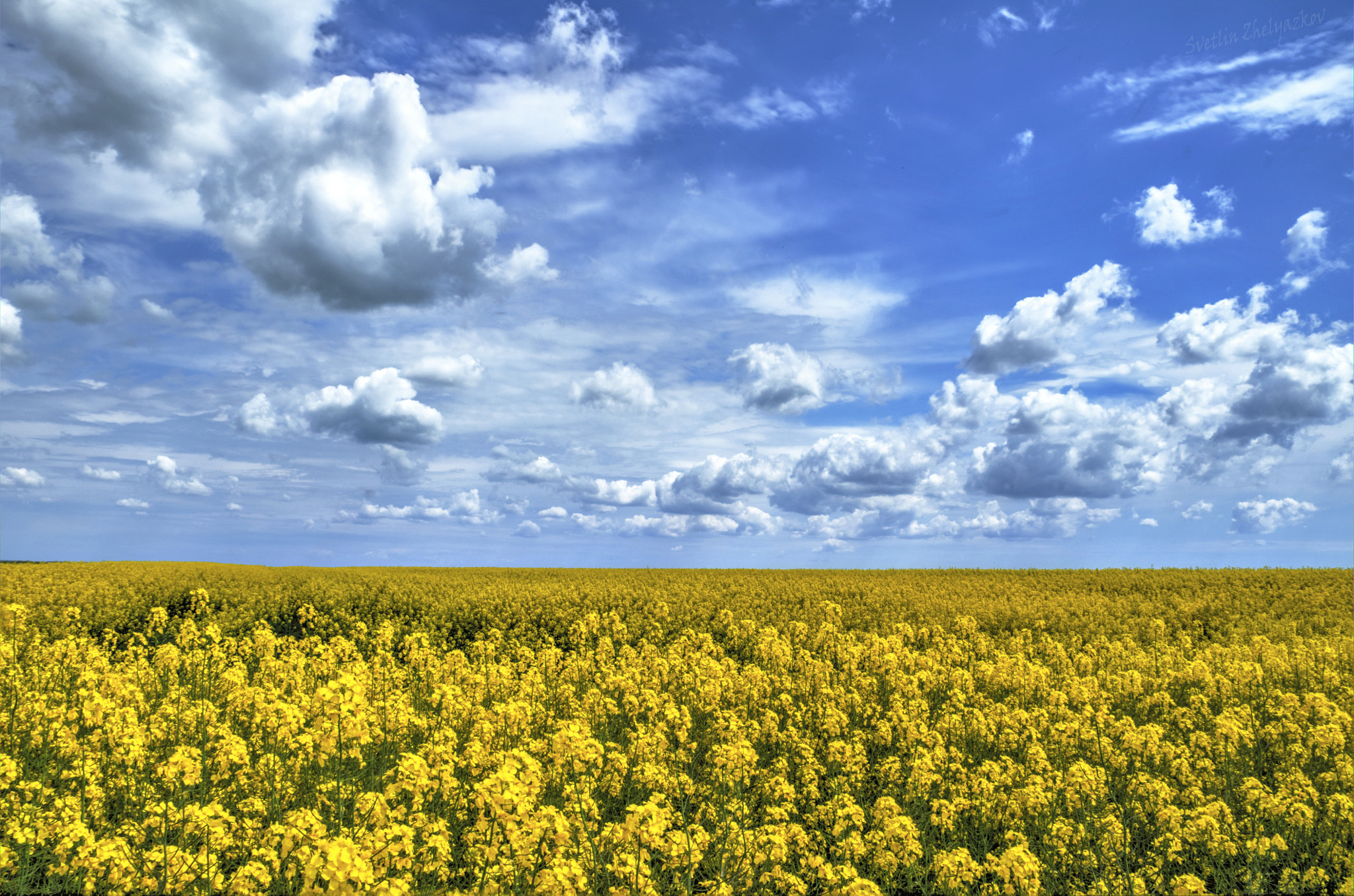 v2?sig=e55bc1d00bf47174e9c34773c1125c52897e85b5f6ffbec8987f41a2dfa0a7a2