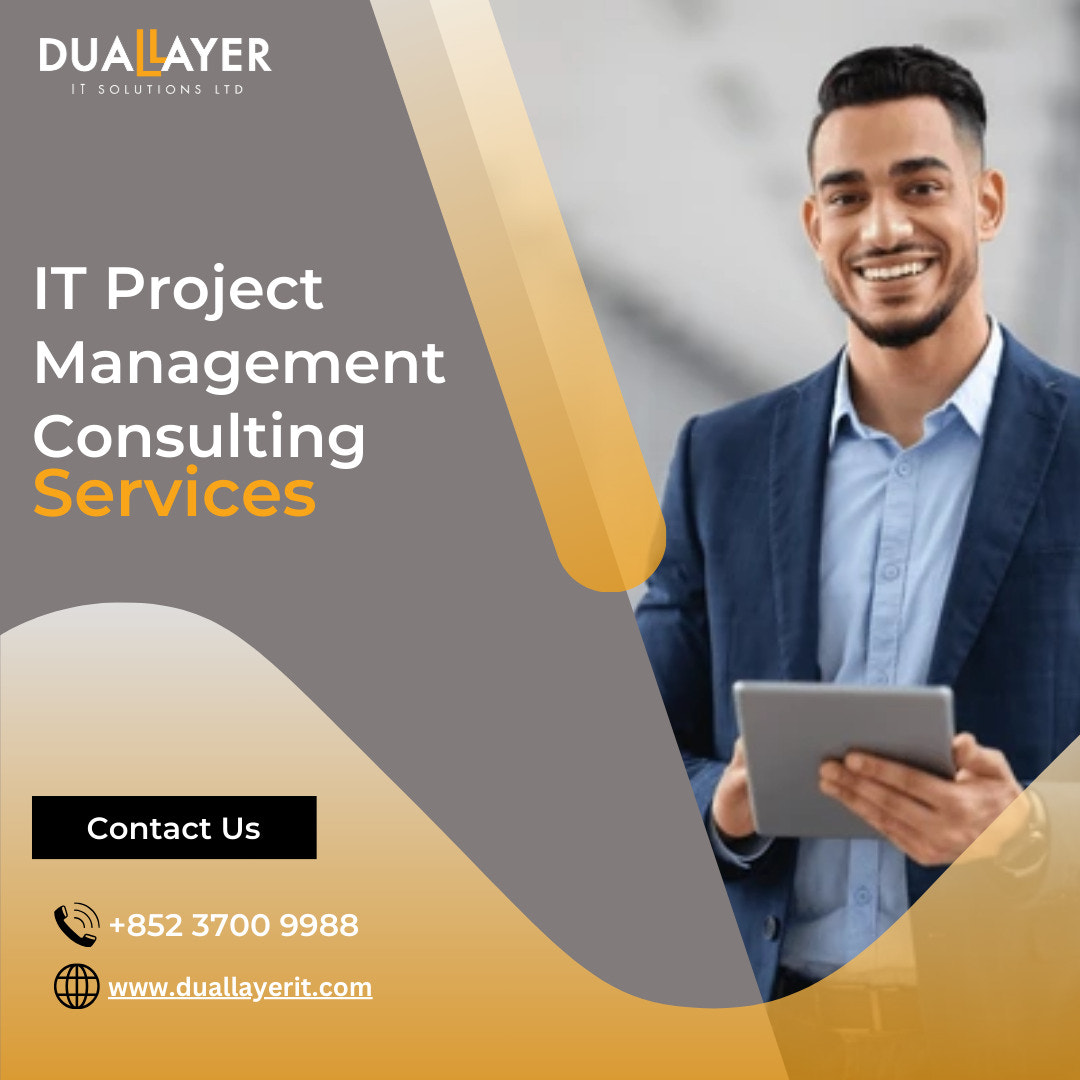 Get the finest IT Consulting Services for Project Management - Dual Layer IT