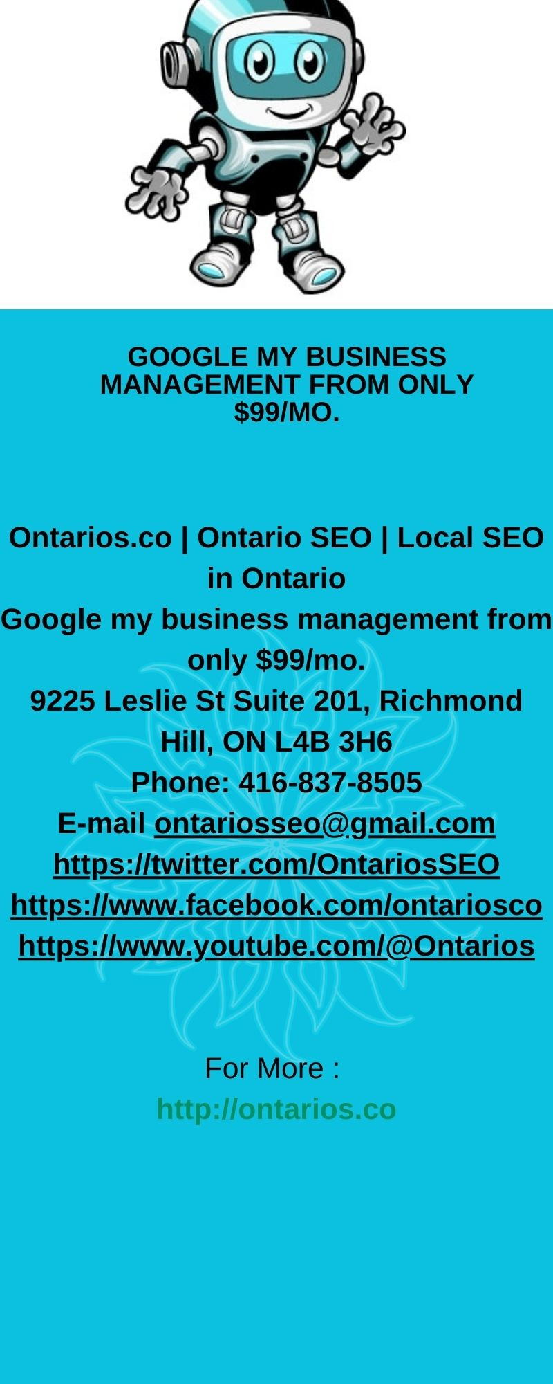 SEO Ontario