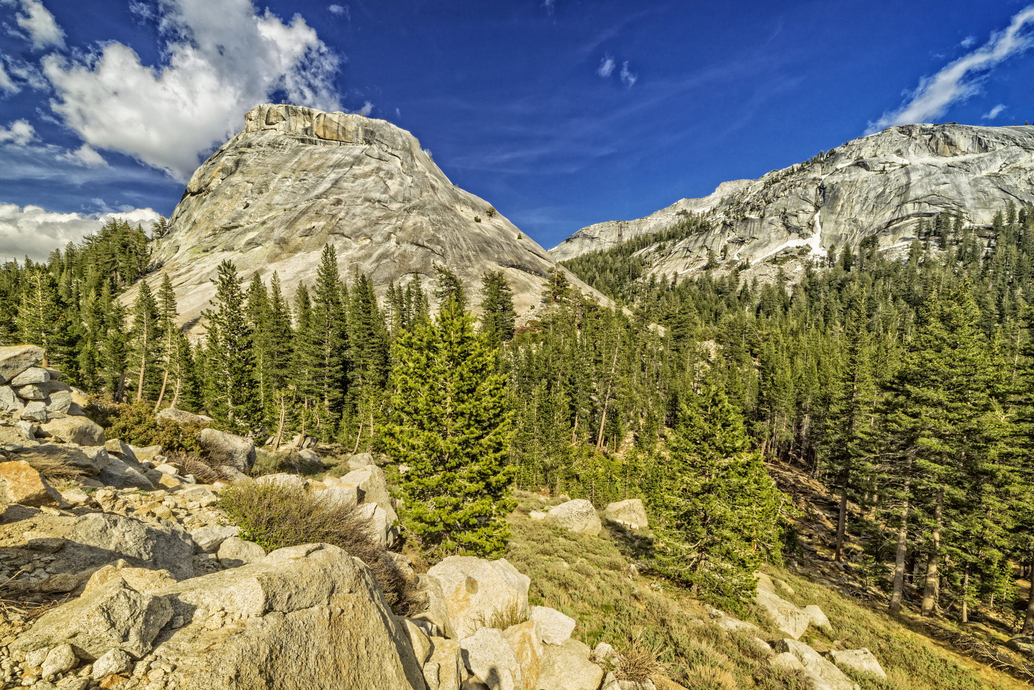 Tioga Road View by Bill Boehm - Photo 108271949 / 500px