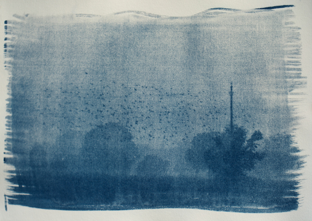 Cyanotype by Nadejda Latunova on 500px.com