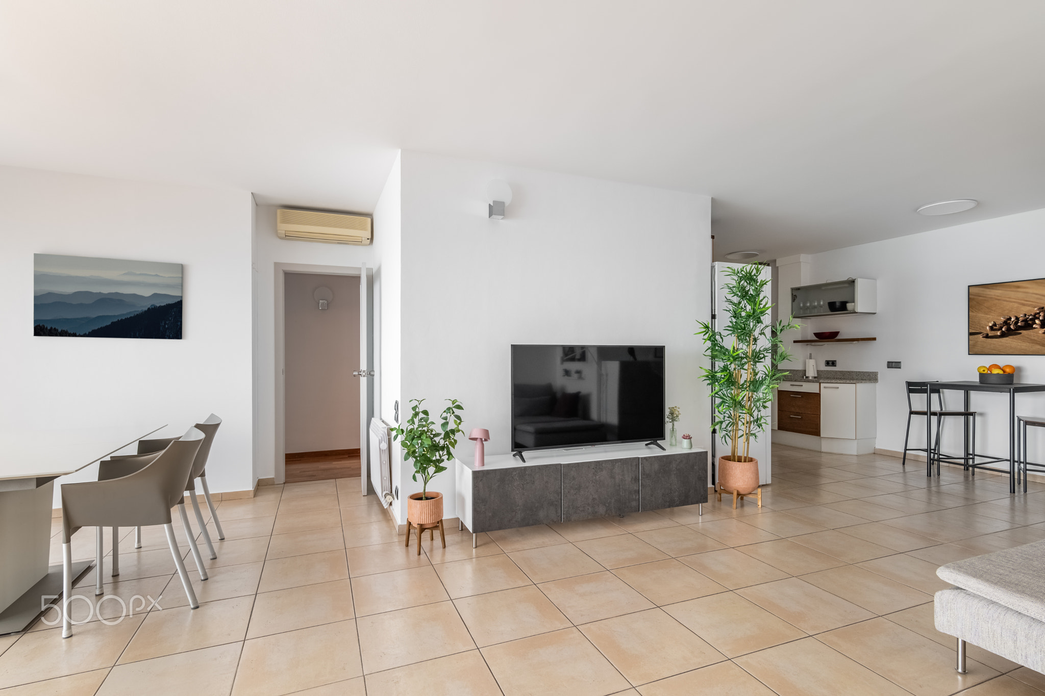Modern TV monitor on stand and houseplants by white wall