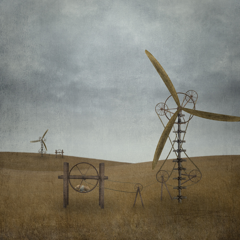 Wind Generation