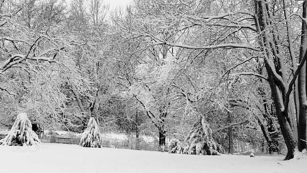 Just another Snow Day by gT Comer on 500px.com