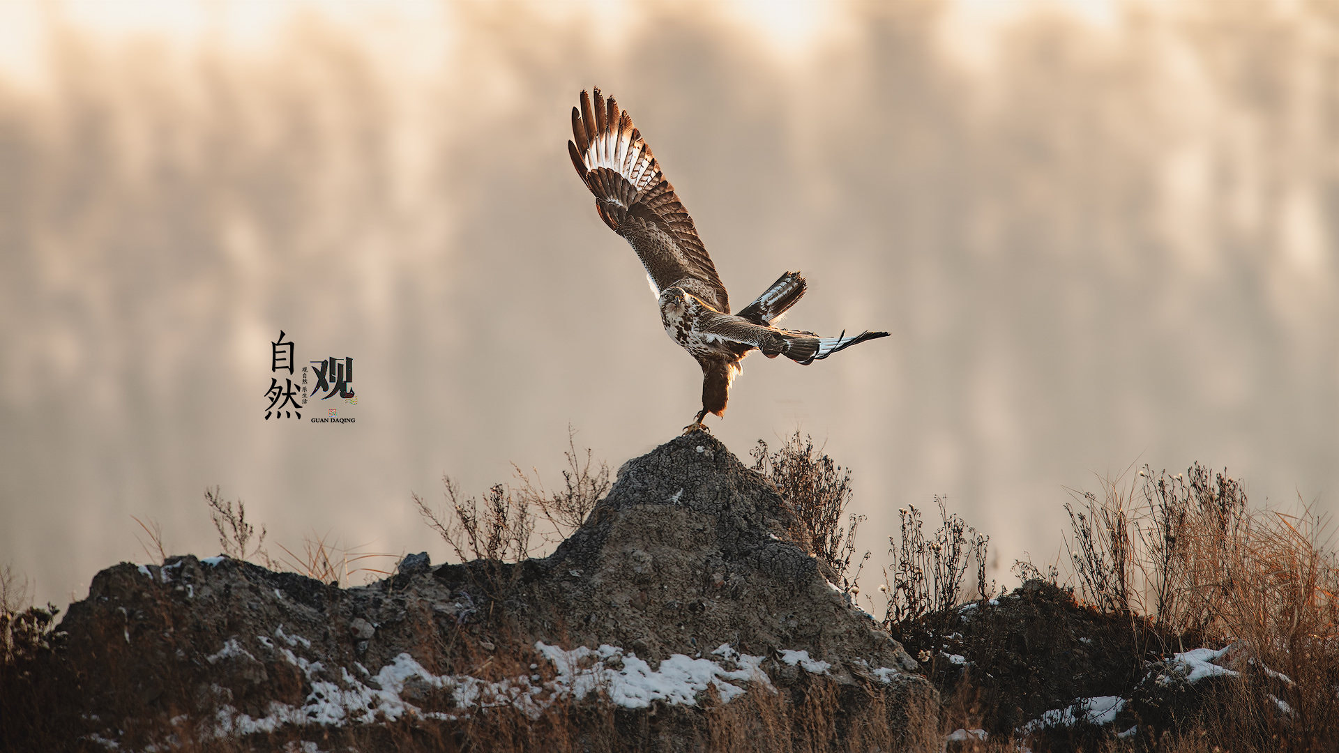 观自然(vcg-c3e5721934d439910dccdf805b1248554) Profile / 500px