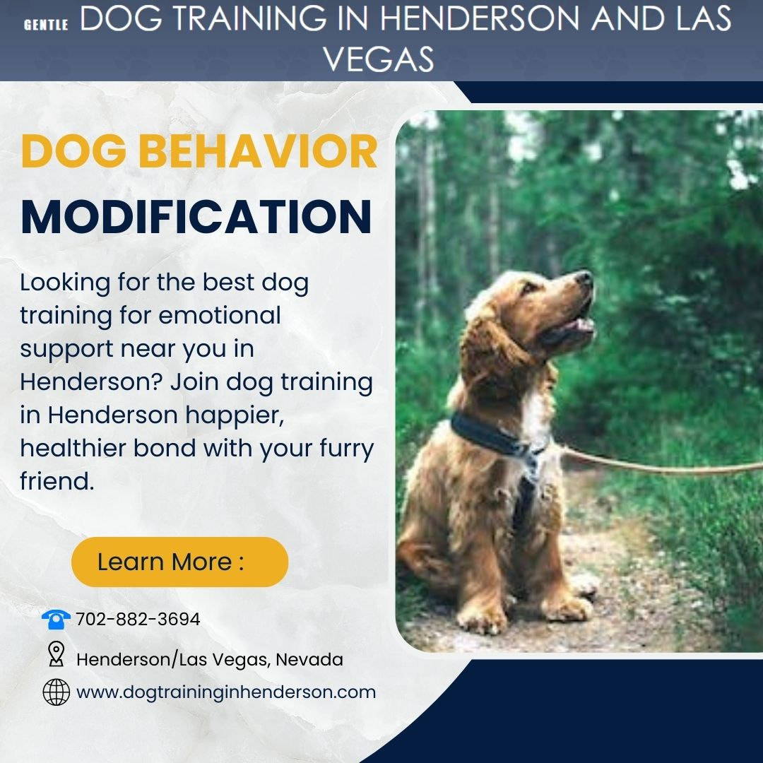 Get the Best Dog Behavior Modification in Las Vegas