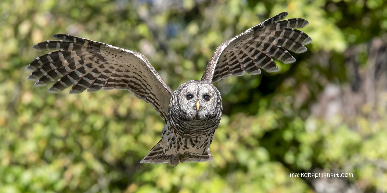 v2?sig=99c1f9eb8c88d6c4b63615ccdb97f0dc84462a5fb024a49a3a966508c6babea6