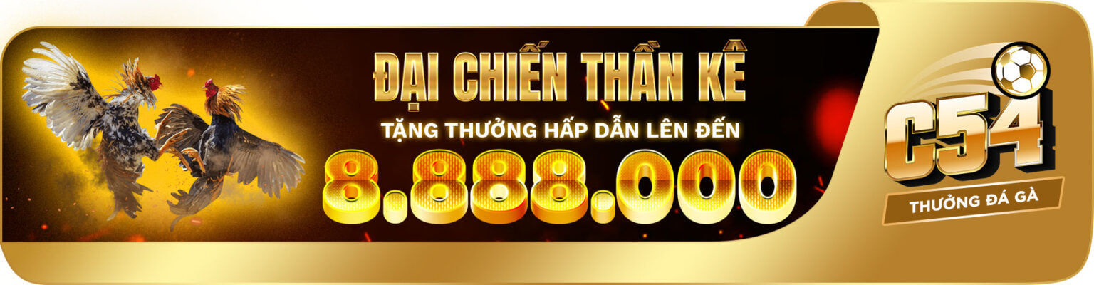 C54 - Đại chiến thần kê - Giới thiệu trò chơi đá gà