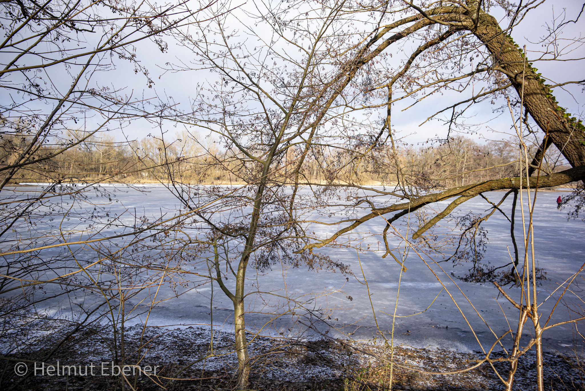 BS-Riddaghausen, ... Kreuzteich im Eis