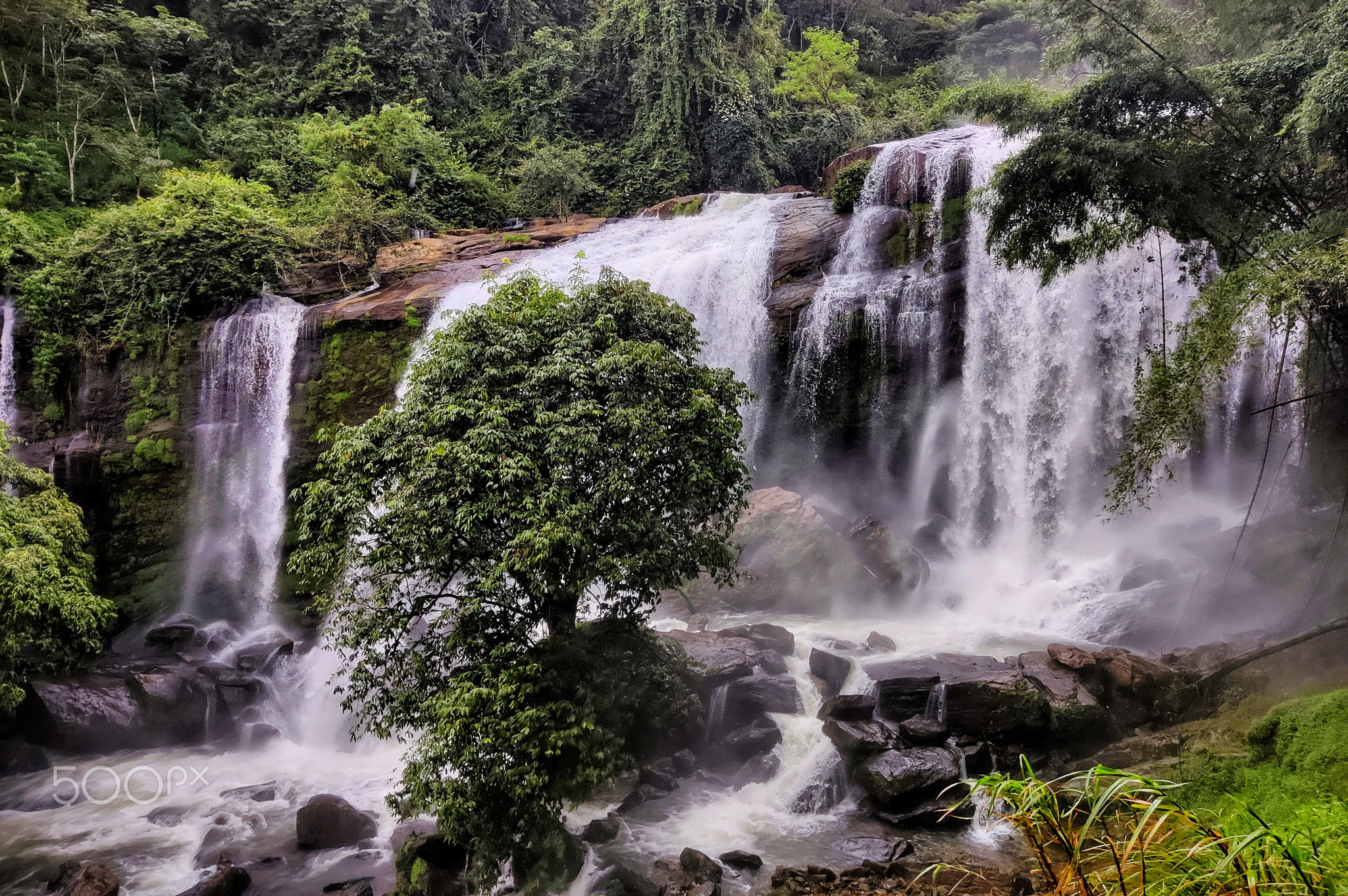 waterfall falls in forest