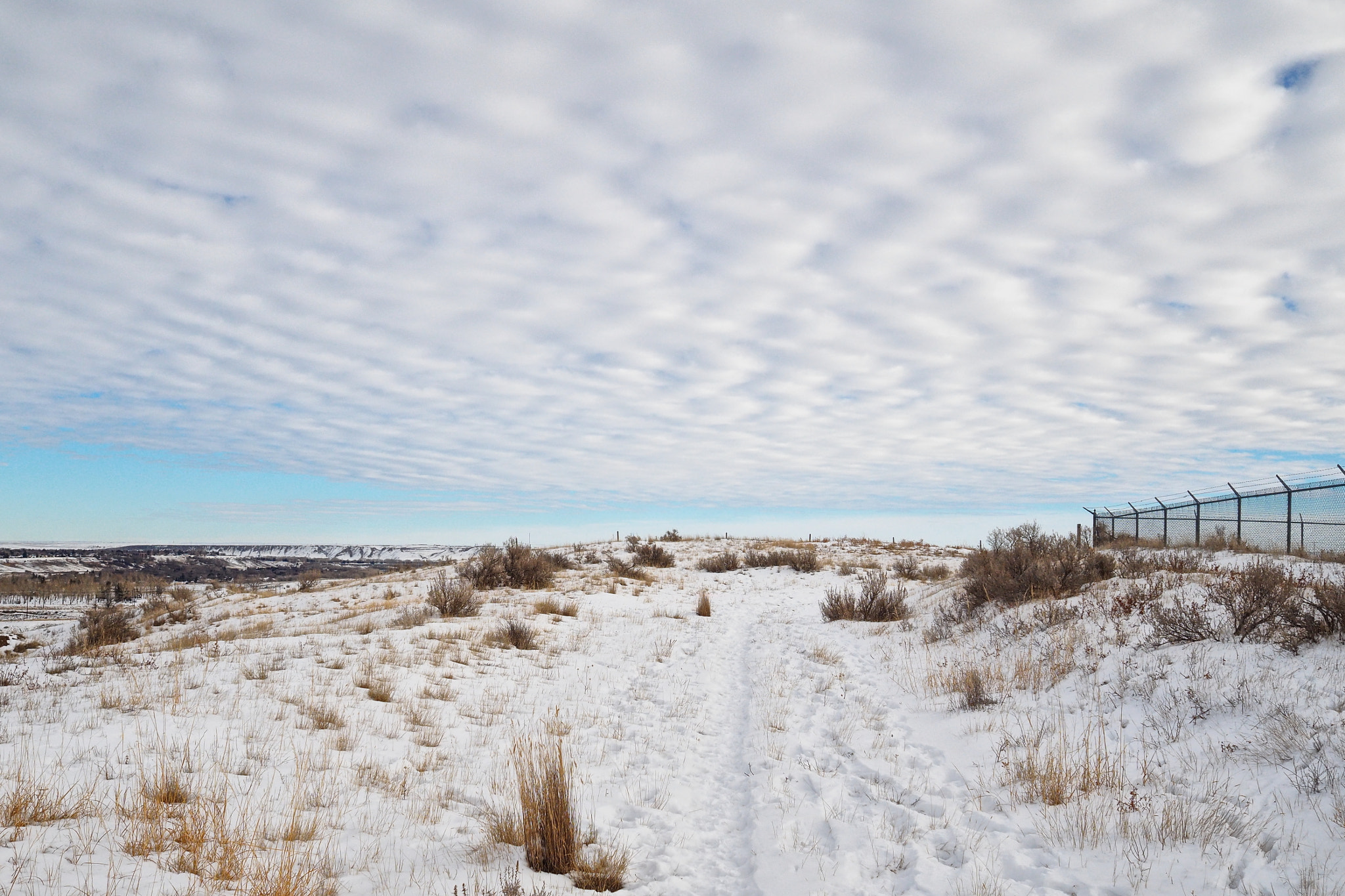 Cloudy Sky (Palate Cleanse)