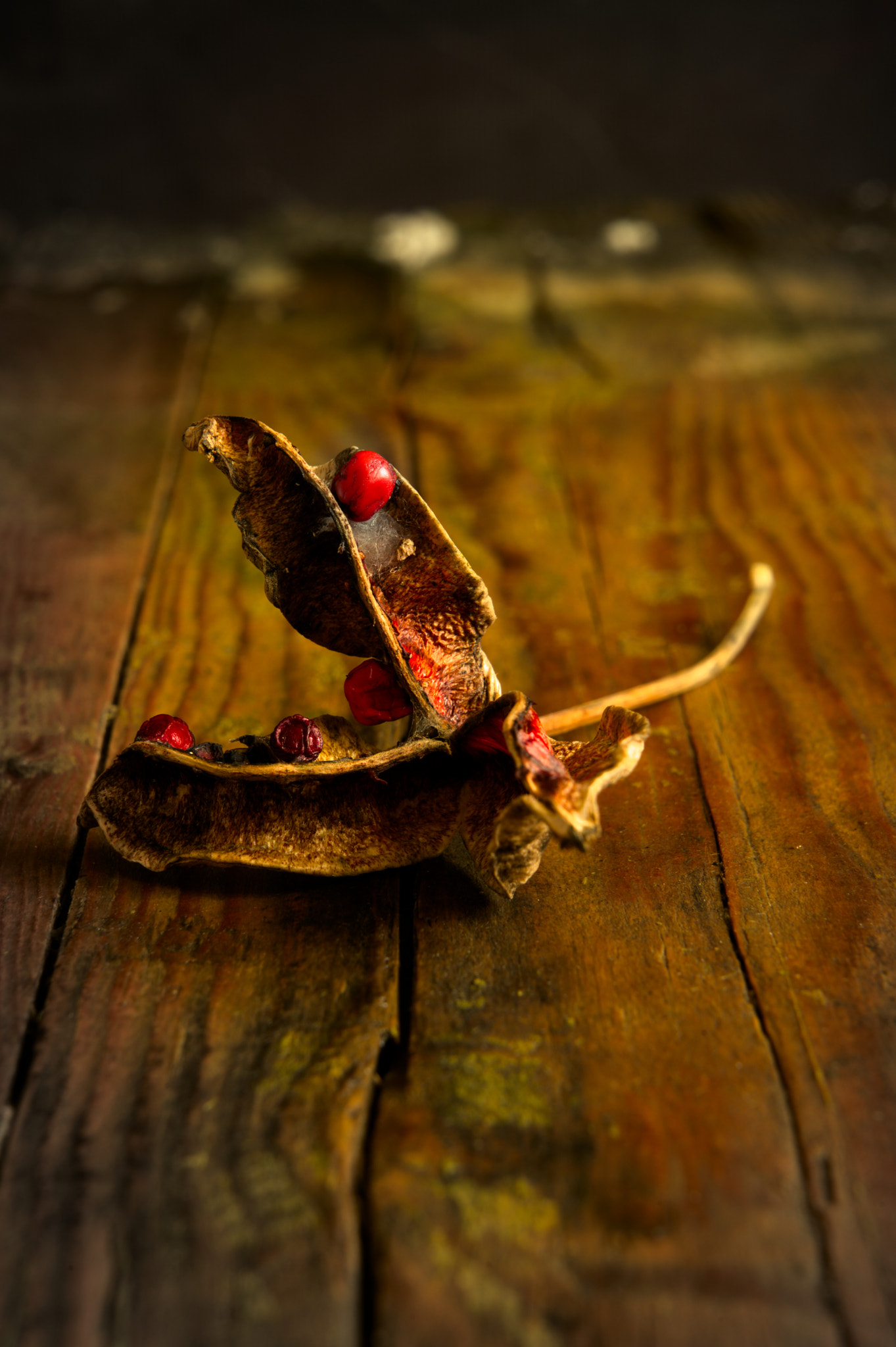 Vertical warm still life with objects on a wooden table