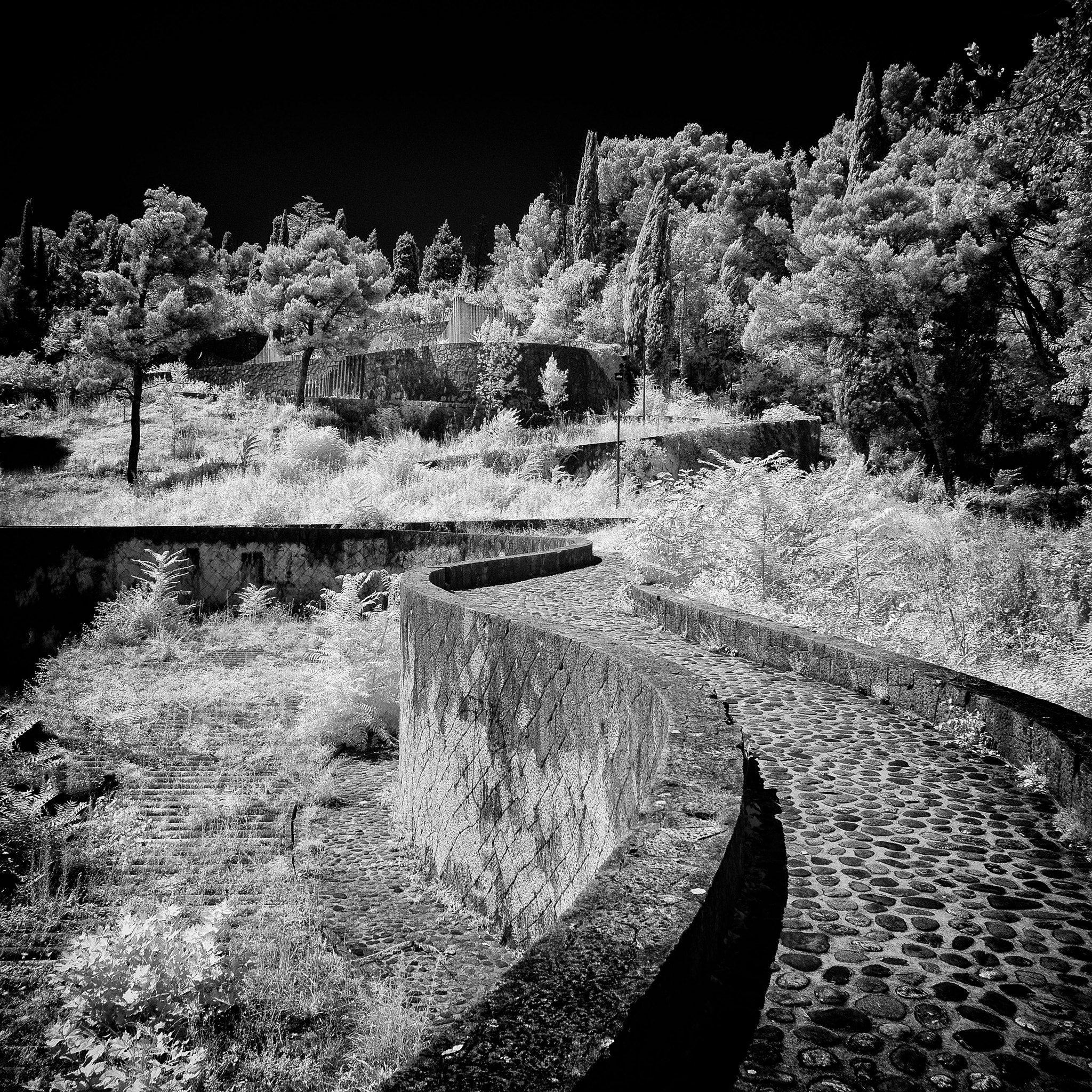 Path to the Top - Partisan Cemetery, Mostar