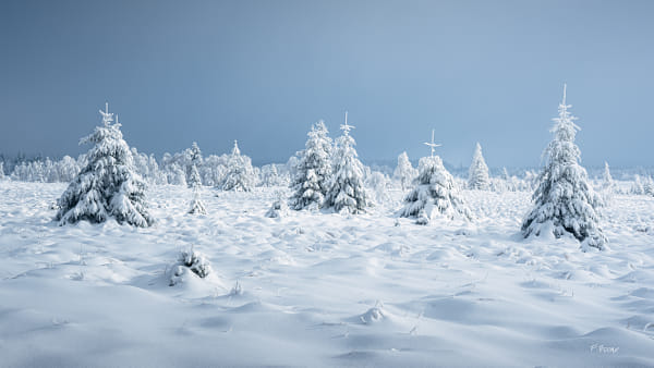 Lapland in Belgium by Fabien Boone on 500px.com