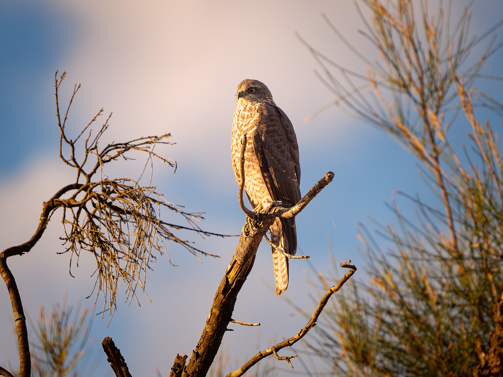 Karkany by Paul Amyes on 500px.com