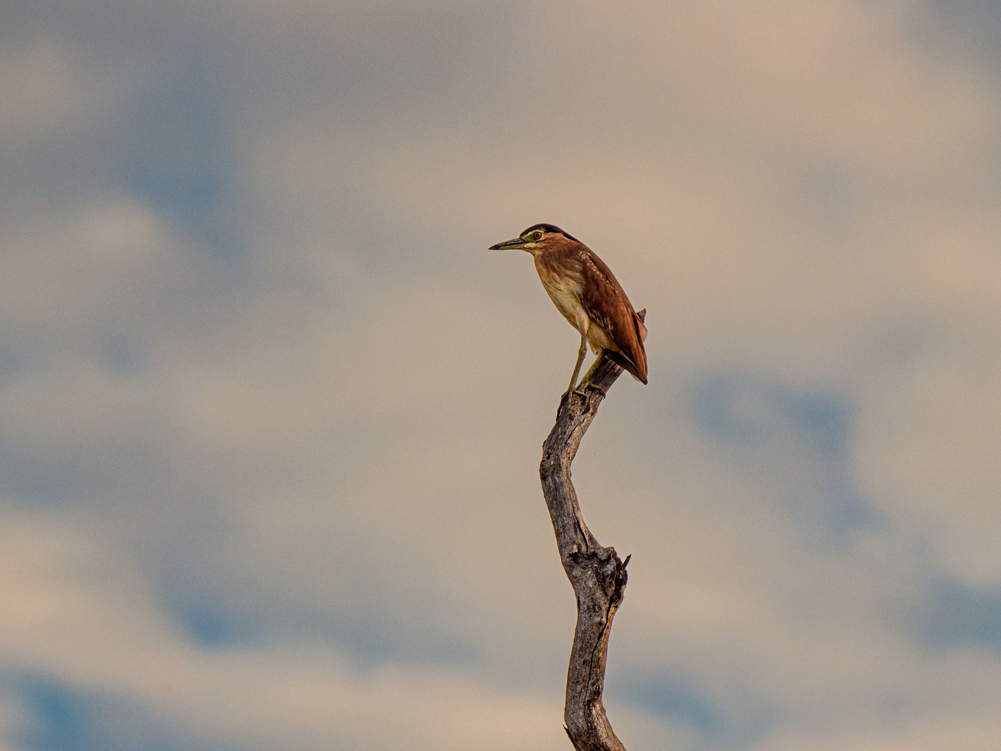 Ngalkaning by Paul Amyes on 500px.com