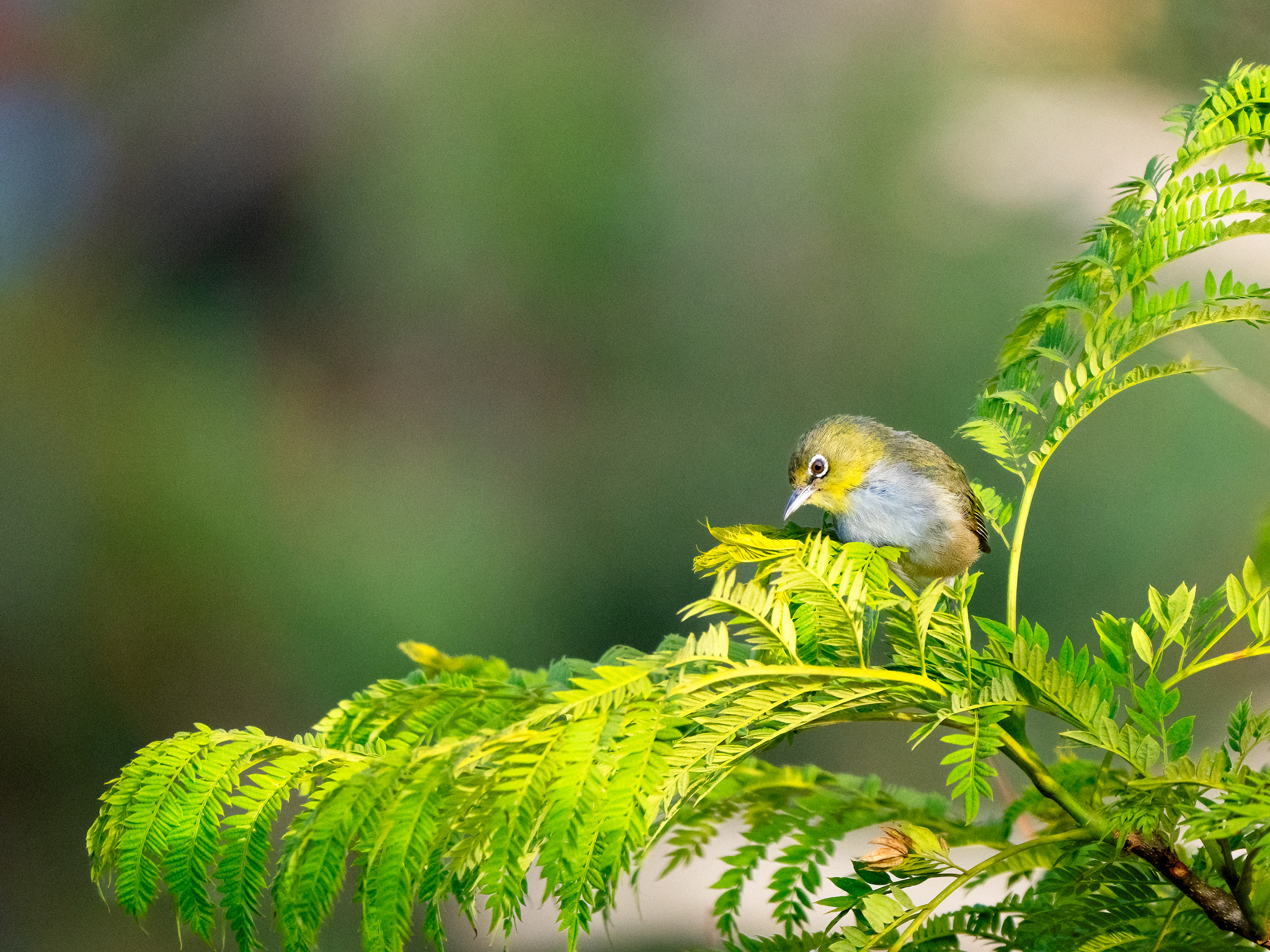 Doolor by Paul Amyes on 500px.com