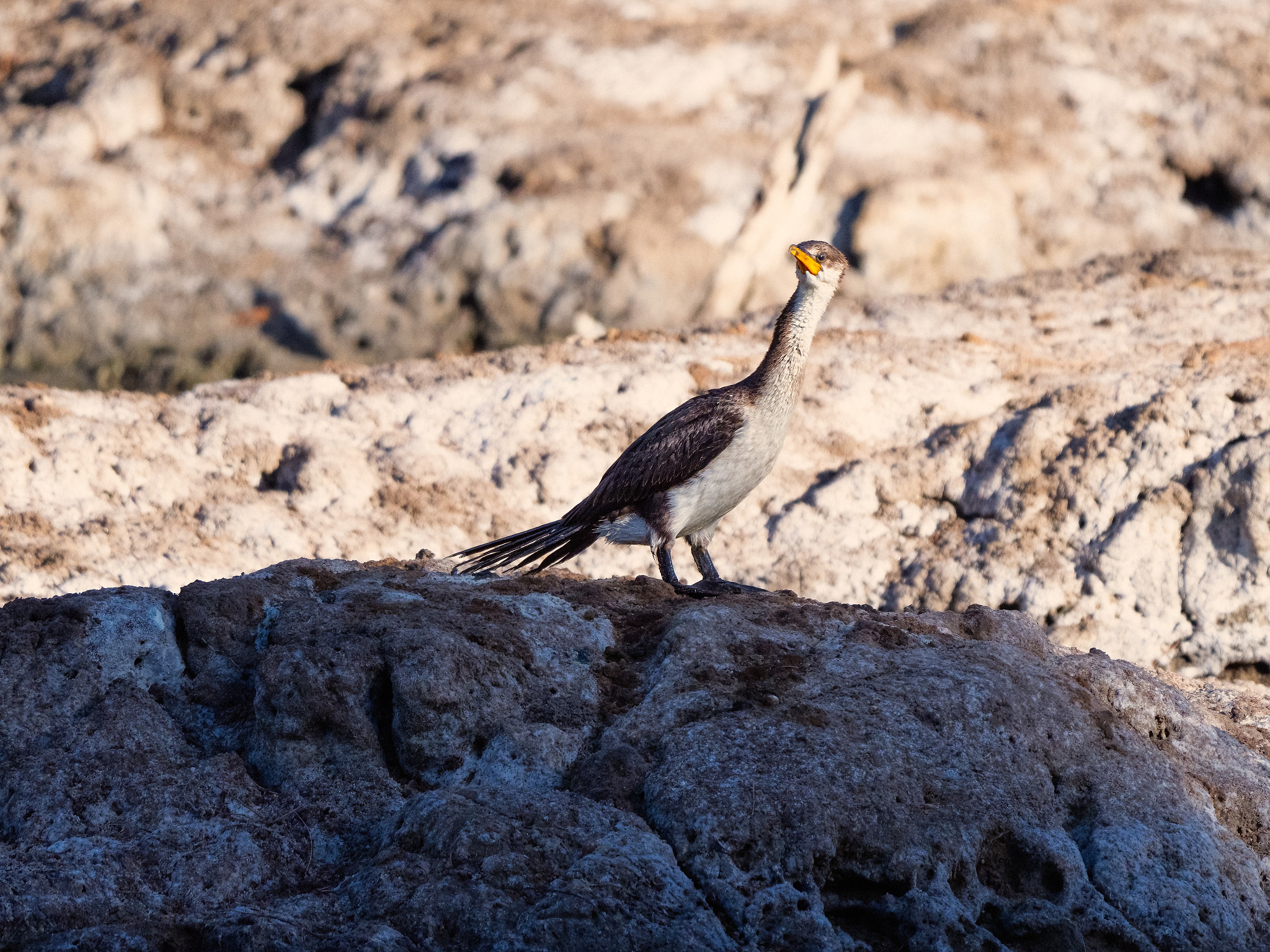 Kakak by Paul Amyes on 500px.com