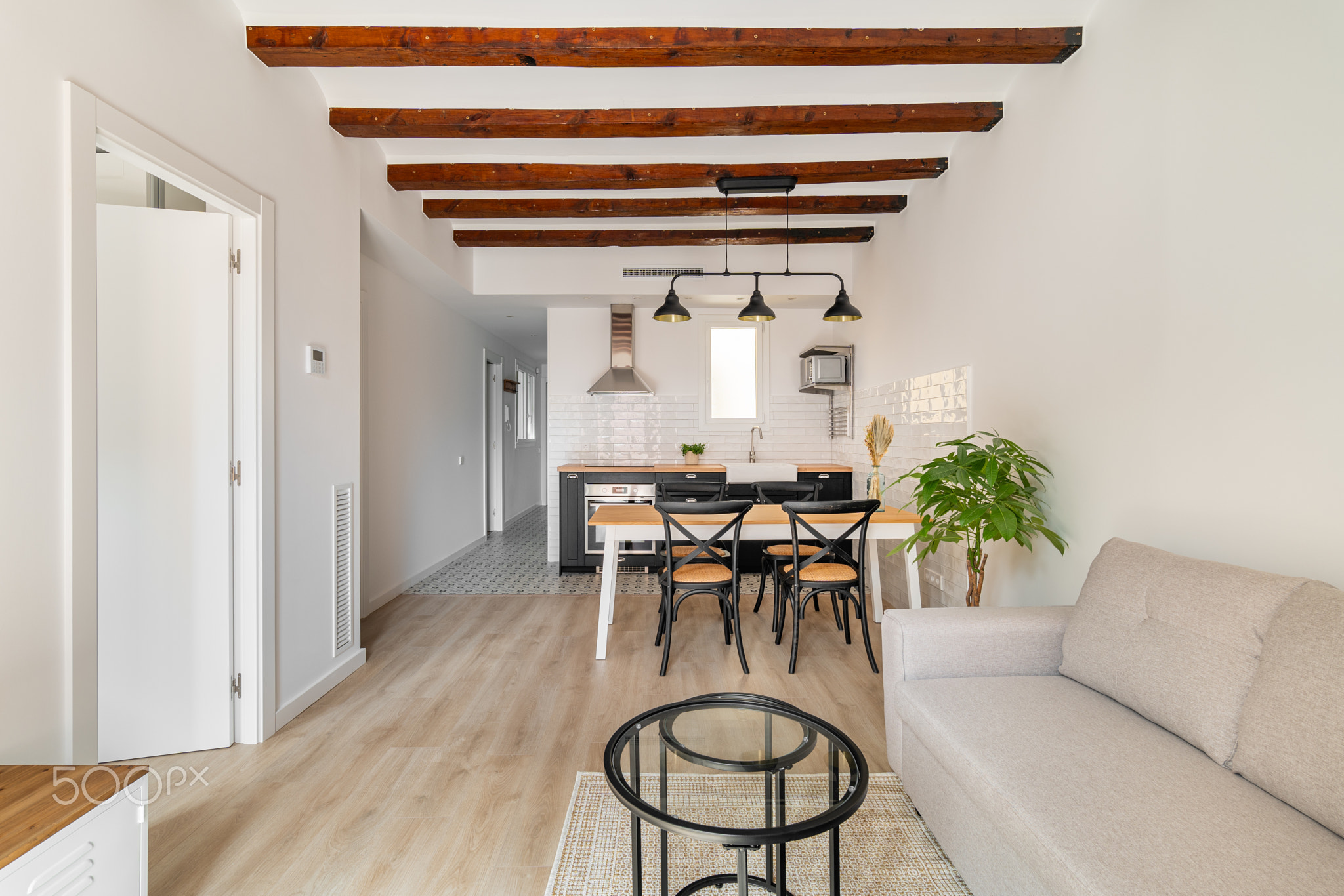 Horizontal shot compact apartment with combined dining room kitchen with sofa and coffee table and