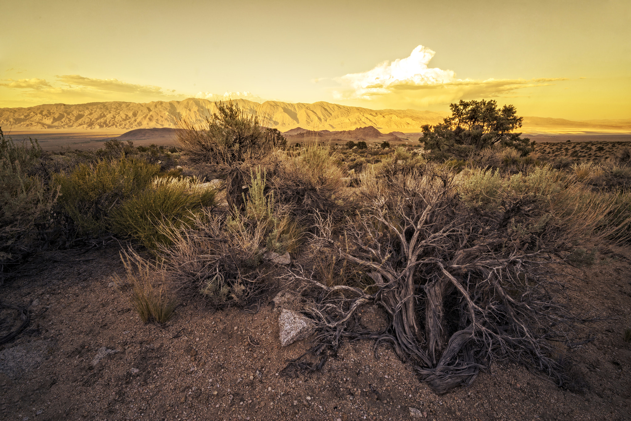 Whitney Portal Sunset