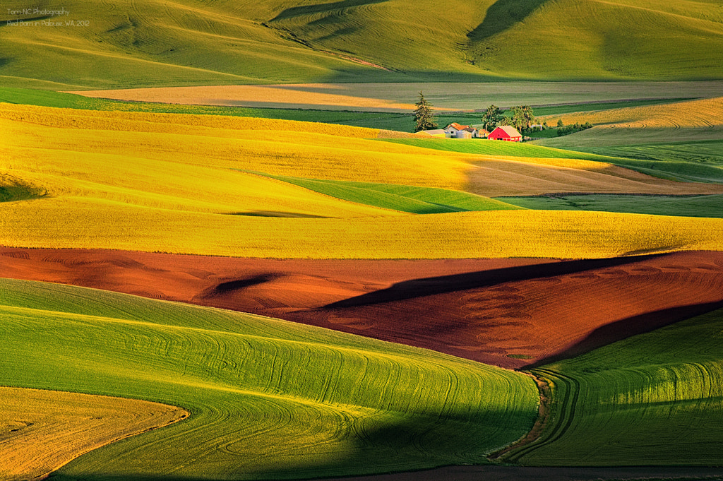 The Red Barn in Palouse Hill by Noppawat Charoensinphon / 500px