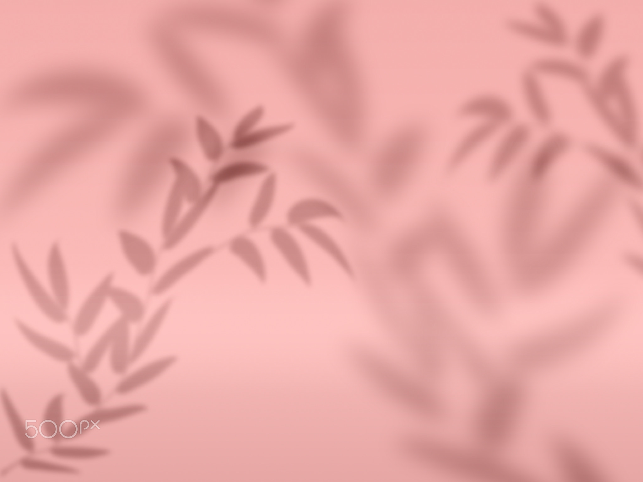 Pink background with a shadow from a branch with leaves, a place for displaying items, advertising a