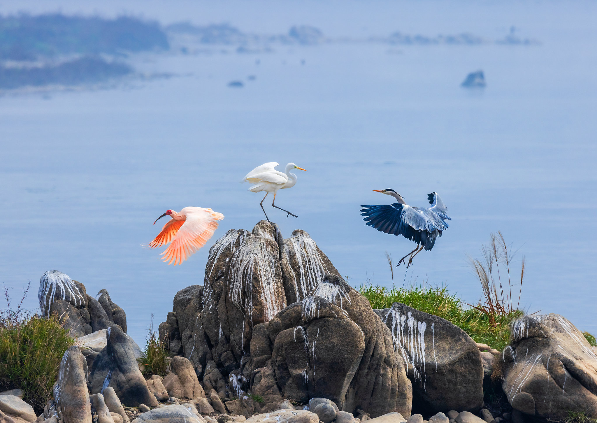 十八子&灵殊(vcg-0d64517bb4fd18fe79e072366855d3751) Profile / 500px