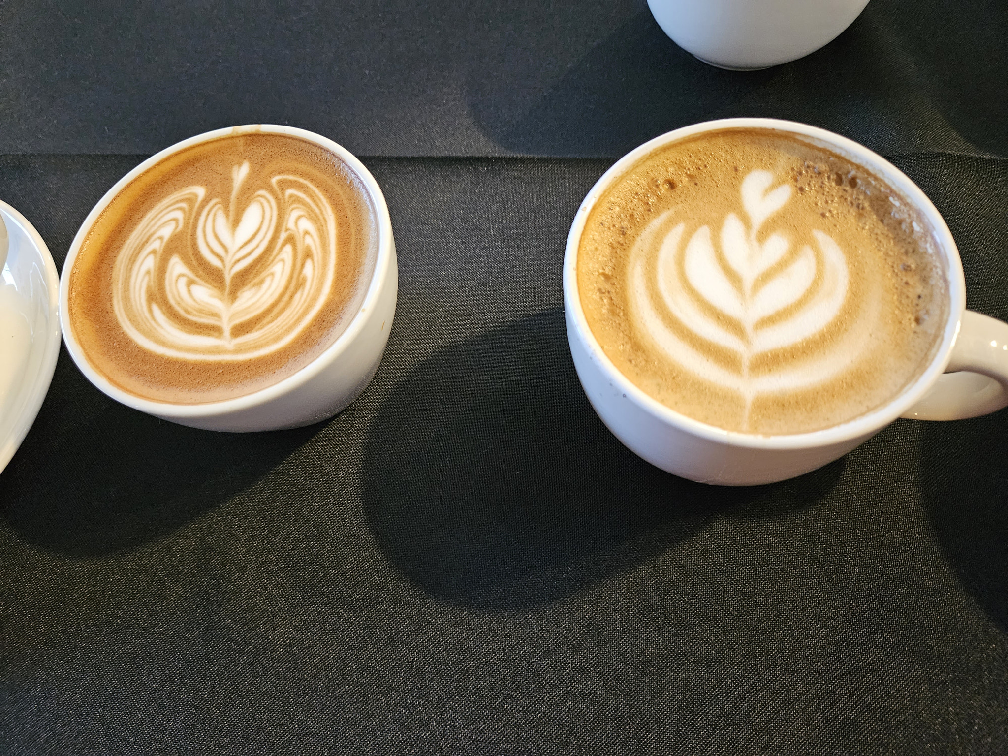 v2?sig=10c0c2025f0d1c11365320803cbaba23c3700353cb644a317101e6b787c10ff7